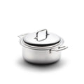 4 Quart Stock Pot with Cover